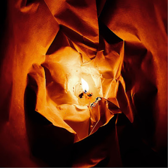 Meet your Posher, Lily - Picture 1 of 1